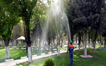 آغاز عملیات سم‌پاشی درختان نارون شهر کرمانشاه
