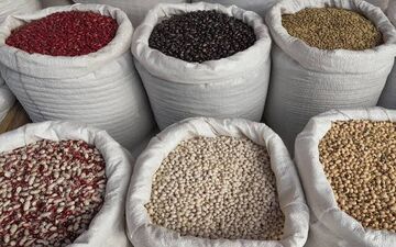 نرخ جدید حبوبات در بازار؛ لوبیا قرمز گران‌ترین است