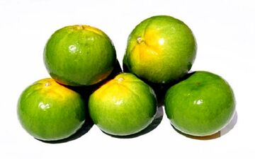  این نوع میوه نارنگی را نخرید