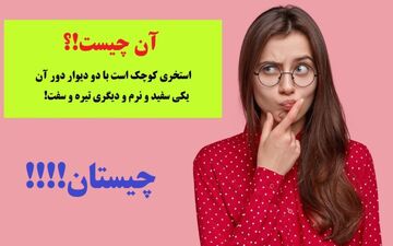 چیستان | استخری کوچک است با دو دیوار دور آن، یکی سفید و نرم و دیگری تیره و سفت!