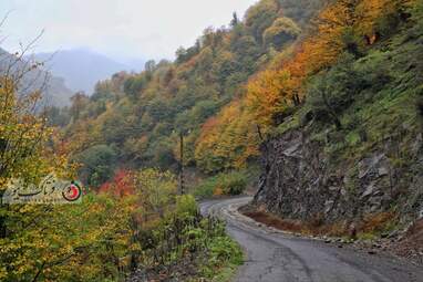 گزارش تصویری | گیلان؛ مقصدی رویایی برای عاشقان پاییز