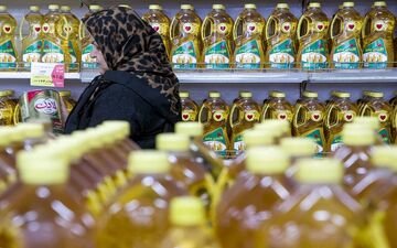 ریزش قیمت روغن در راه است 