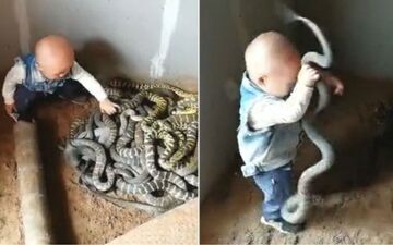 بازی کودک خردسال چینی با مارها! + فیلم