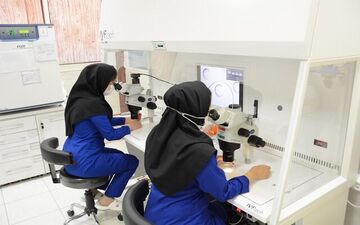 
مرحله تکمیل ظرفیت برای آزمون پذیرش فلوشیپ پزشکی اجرا می‌شود
