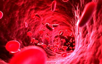 کلسترول خون بالا دارید/ نگران نباشید با این موارد کنترل کنید
