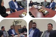 بررسی چالش‌های وصول مطالبات در نشست بیمه دی و برق تهران بزرگ