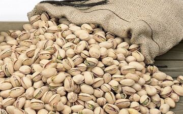 کاهش ۳۹ درصدی صادرات پسته ایران  به اتحادیه اروپا