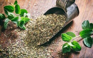 خواص شگفت انگیز این گیاه برای سلامتی

