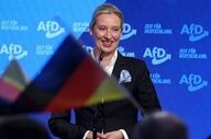 تلاش رهبران راست افراطی آلمان برای دیدار با مقامات روسیه به منظور از سرگیری واردات گاز