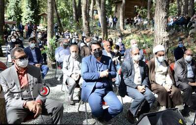 روزجهانی چوب 