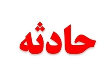  تولد بره دو سر در پلدختر+عکس