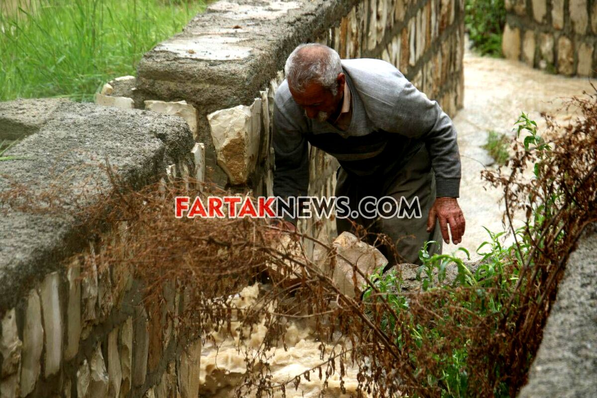 تگرگ در گهواره