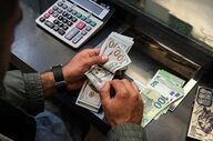 تحلیلگر اقتصادی: نرخ دلار باید ۲۷۰ هزار تومان باشد